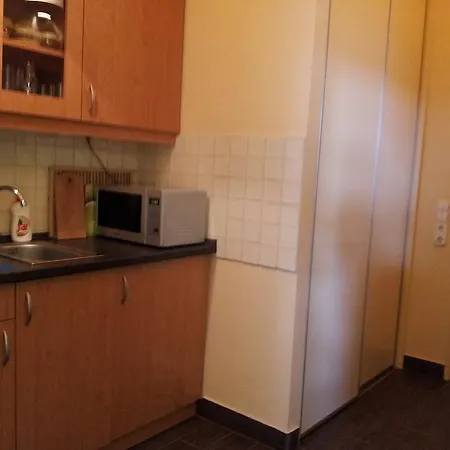 多瑙河pan工作室